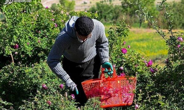 عکس های روستای عنصرود