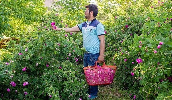 عکس های روستای عنصرود