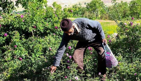 عکس های روستای عنصرود