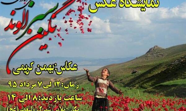 عکس روستای علی آباد دمق
