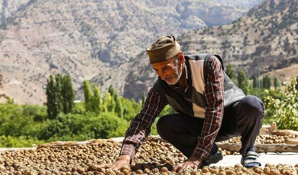 عکس روستای علی آباد دمق