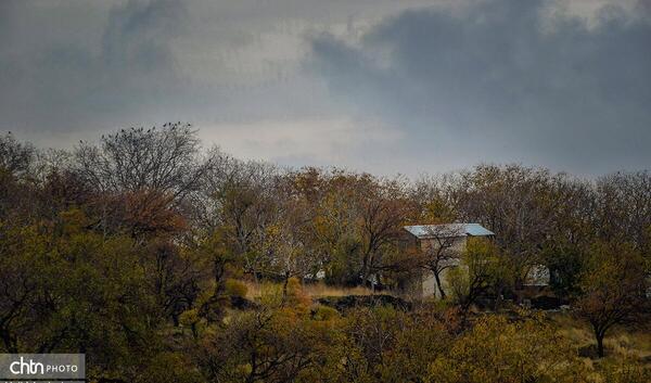 عکس روستای علی آباد دمق