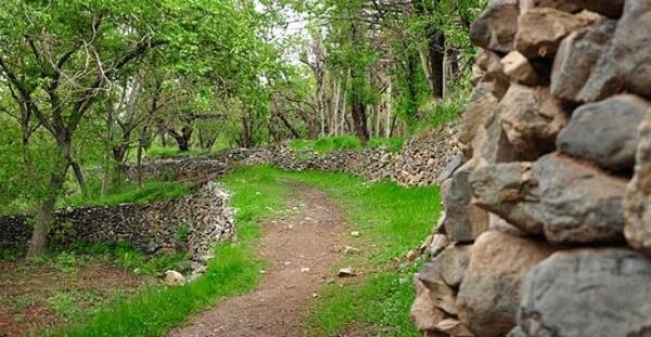 عکس روستای طامه اصفهان