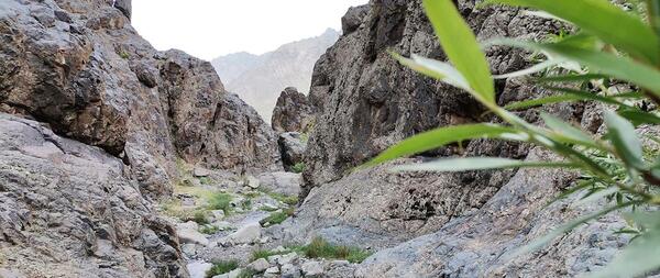 عکس روستای طامه اصفهان