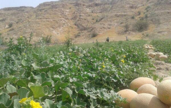 عکس روستای طالبی