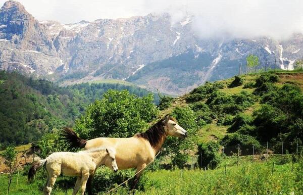 عکس از روستای شمال