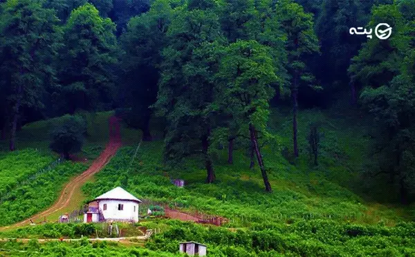 عکس از روستای شمال