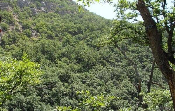 عکس روستای درکش خراسان شمالی