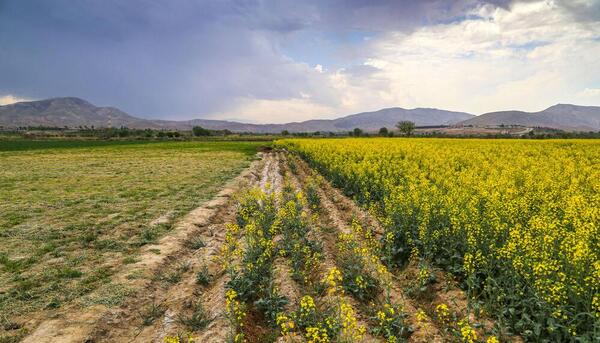 عکس روستای دشت خراسان شمالی