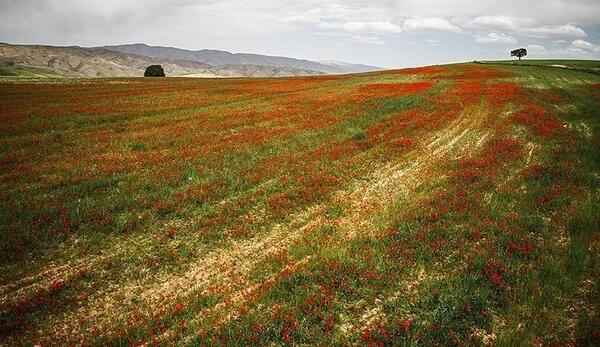 عکس روستای دشت خراسان شمالی