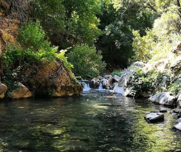 عکس از روستای سر آقا سید
