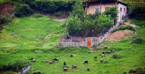 عکس از روستای زیارت استان گلستان