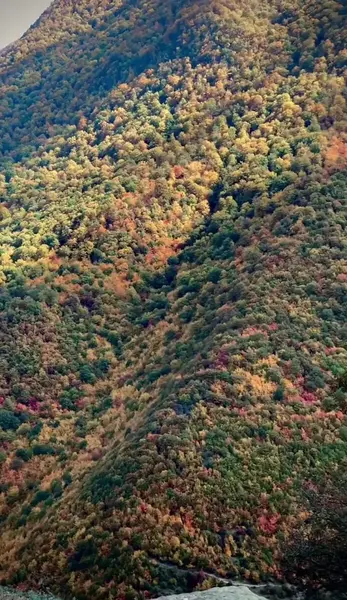عکس از روستای زیارت استان گلستان
