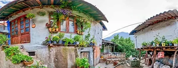 عکس از روستای زیارت