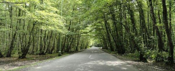 عکس شهر نور مازندران