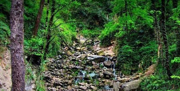 عکس شهر نور مازندران