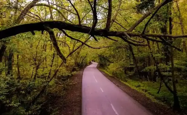 عکس شهر نور مازندران