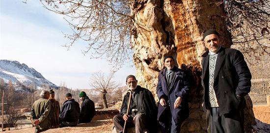 عکس از روستای رویین اسفراین
