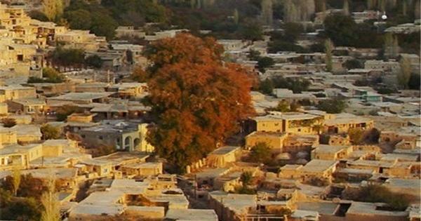 عکس از روستای رویین اسفراین
