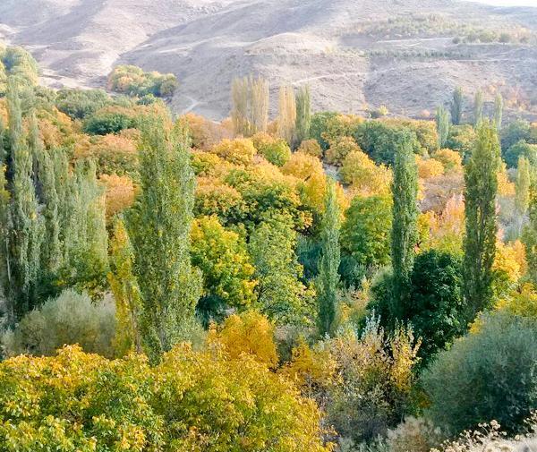 عکس از روستای رویین اسفراین