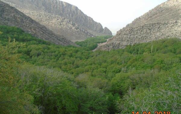 عکس روستای حصار دشتک