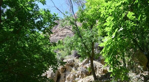 عکس روستای حصار دشتک