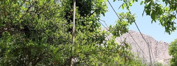 عکس روستای حصار دشتک