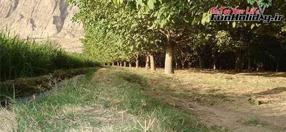 عکس روستای حصار دشتک