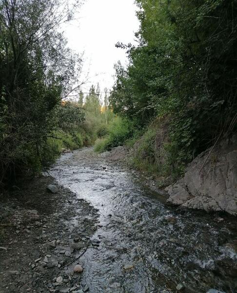 عکس از روستای حصار تربت حیدریه