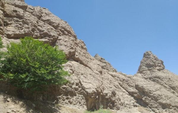 عکس از روستای حصار تربت حیدریه