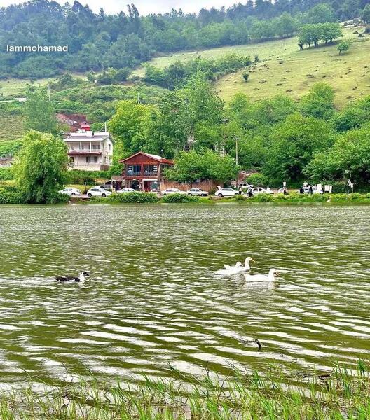 عکس روستای حلیمه جان رودبار