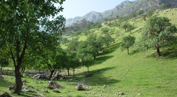 عکس لردگان روستای جوانمردی