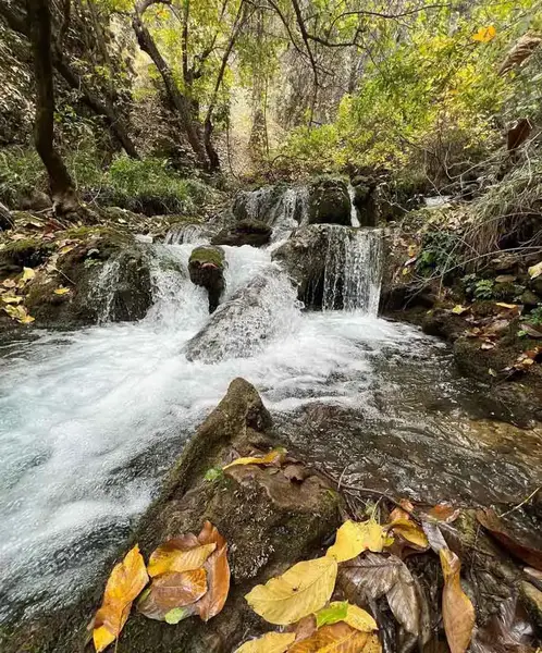 عکس لردگان روستای جوانمردی