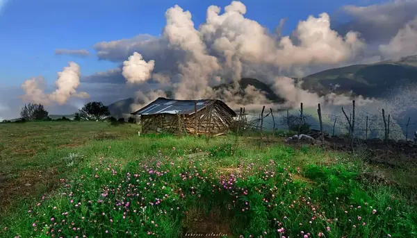 عکس از روستای جواهرده