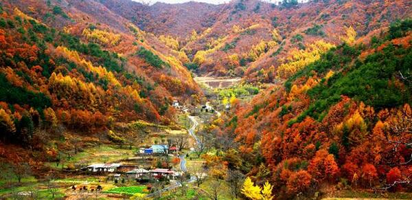 عکس روستاهای کره جنوبی