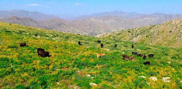عکس های روستای پالنگان