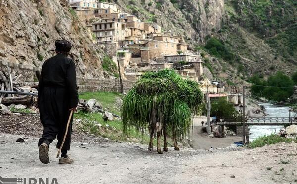عکس روستای پالنگان استان کردستان