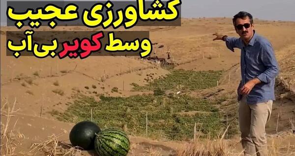 عکس شهر هندوانه