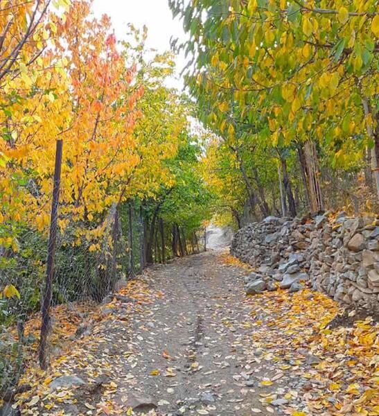 عکس روستای آهار مشکین