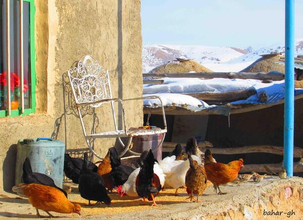 عکس از روستای آقکند