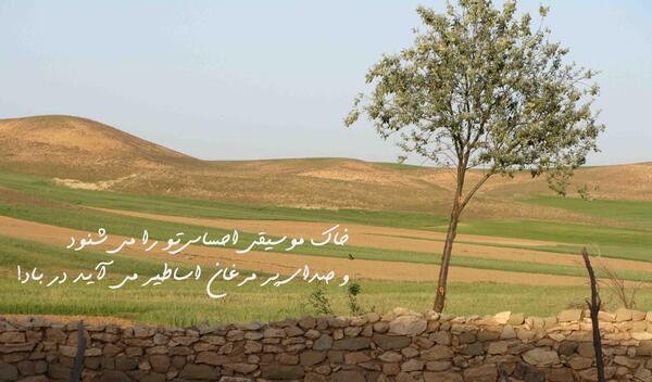 عکس از روستای آقکند