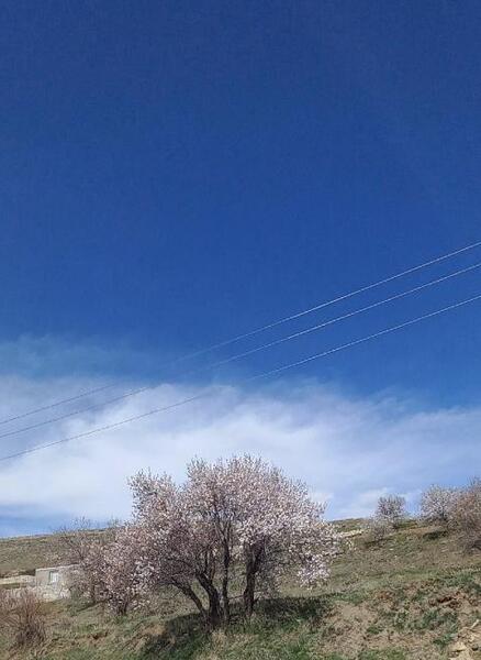 عکس روستای ارزانفود در همدان