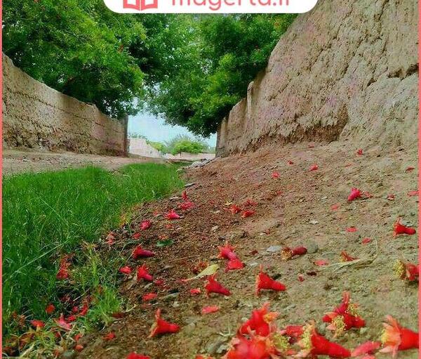 عکس نقاشی روستای زیبا