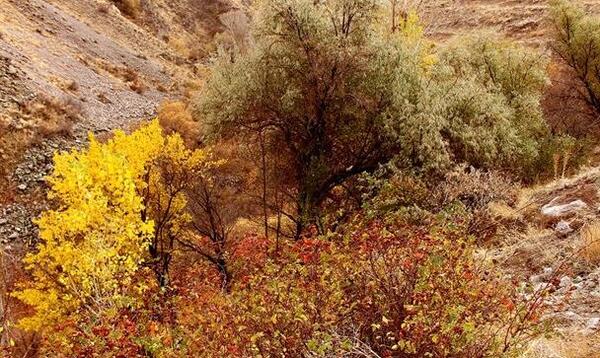 عکس روستای کندوان میانه