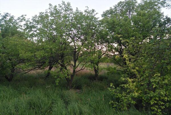 عکس از یک روستای زیبا