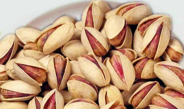 عکس یزدان شهر
