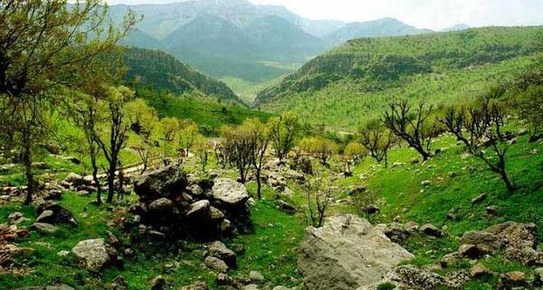 عکس های شهر یاسوج