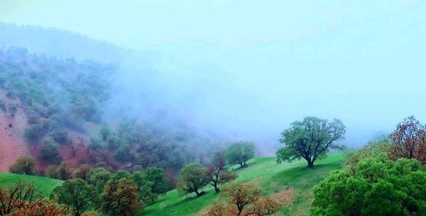 عکس ورودی شهر یاسوج