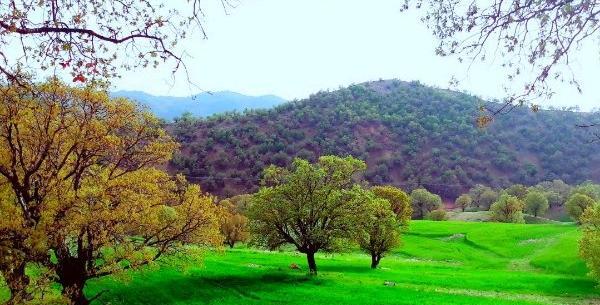 عکس ورودی شهر یاسوج