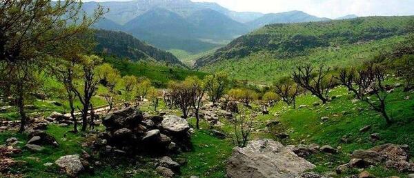 عکس زیبا از شهر یاسوج